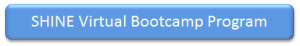 SHINEVBProgramButton
